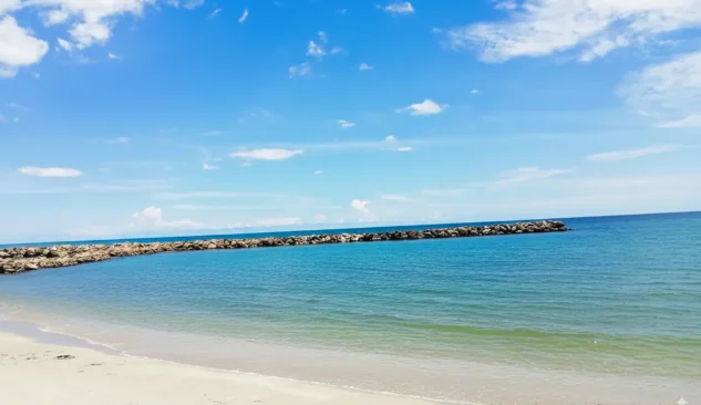 {{brizy_dc_image_alt imageSrc=